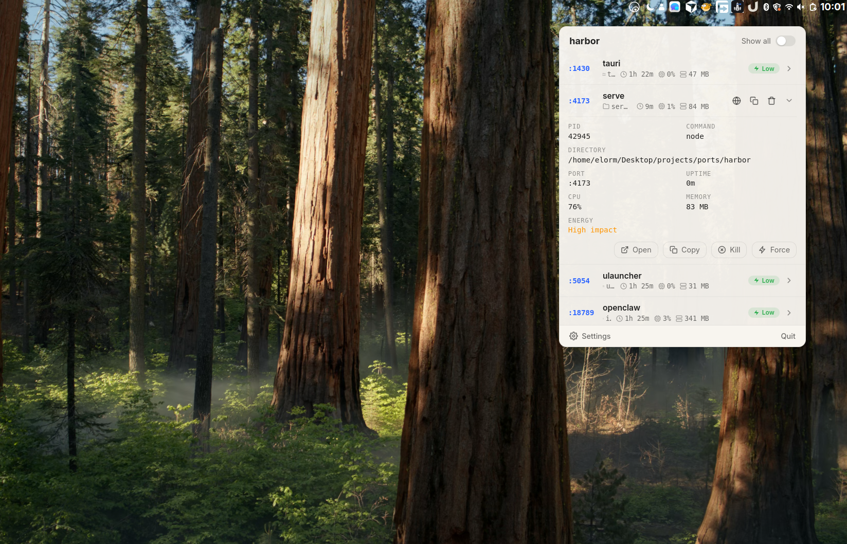 harbor running on a Linux desktop
